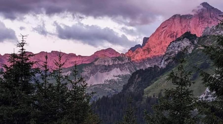 Alpenperle Lägenhet Isenthal Exteriör bild